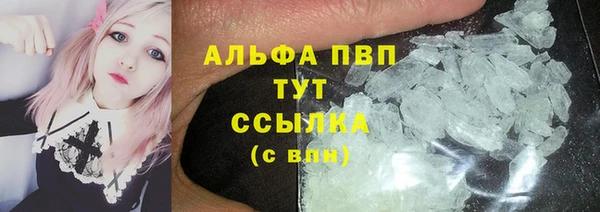 прущие грибы Алексеевка