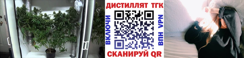 Купить  Белово  Дистиллят ТГК Wax 