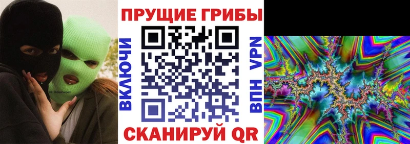 Купить  Белово  Галлюциногенные грибы Psilocybine cubensis 
